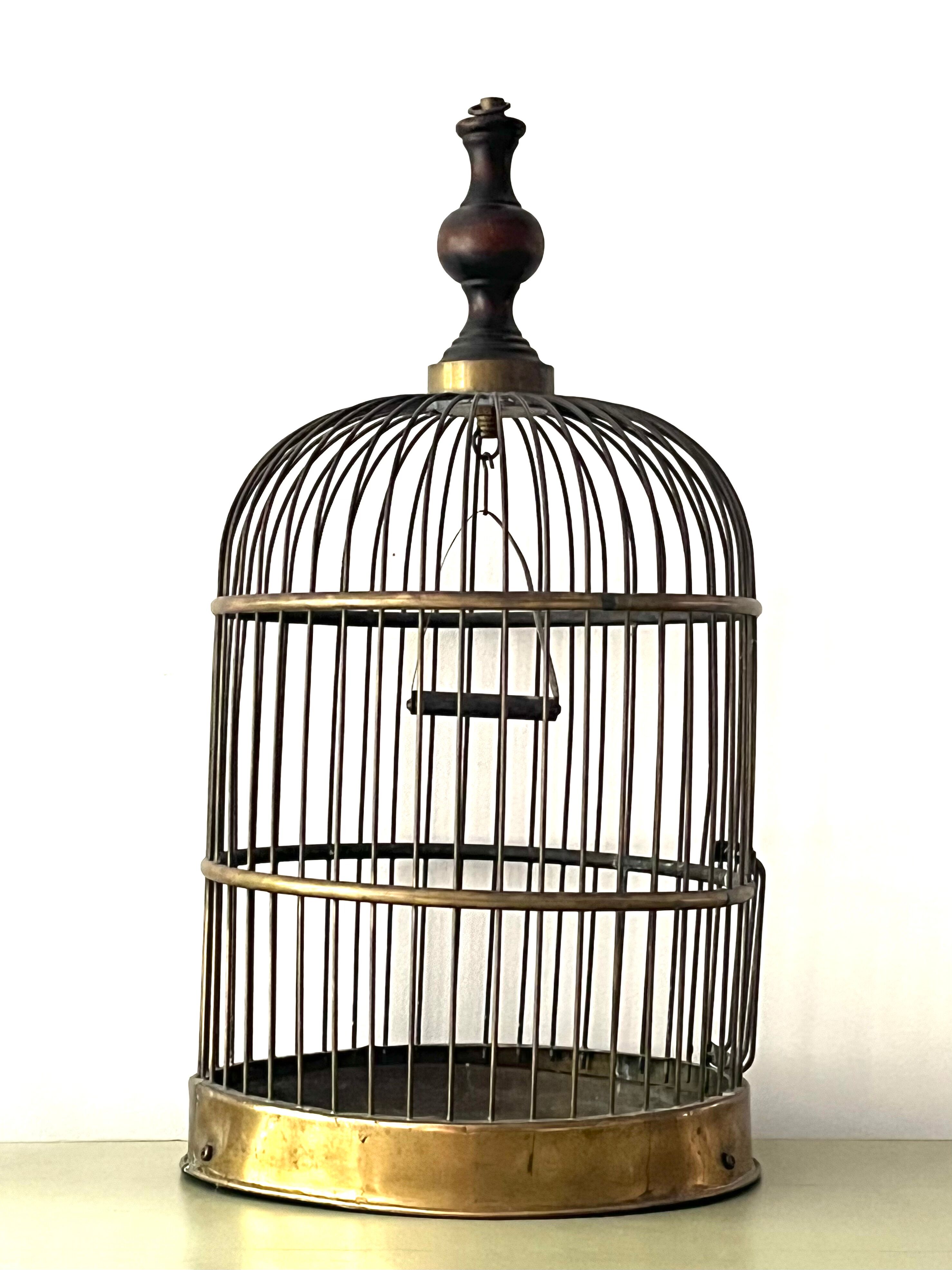Old bird cage