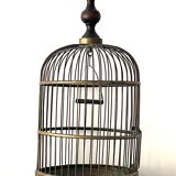 Cage oiseaux