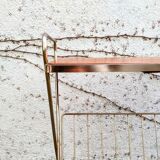 Review door / vinyl with tablet 60s