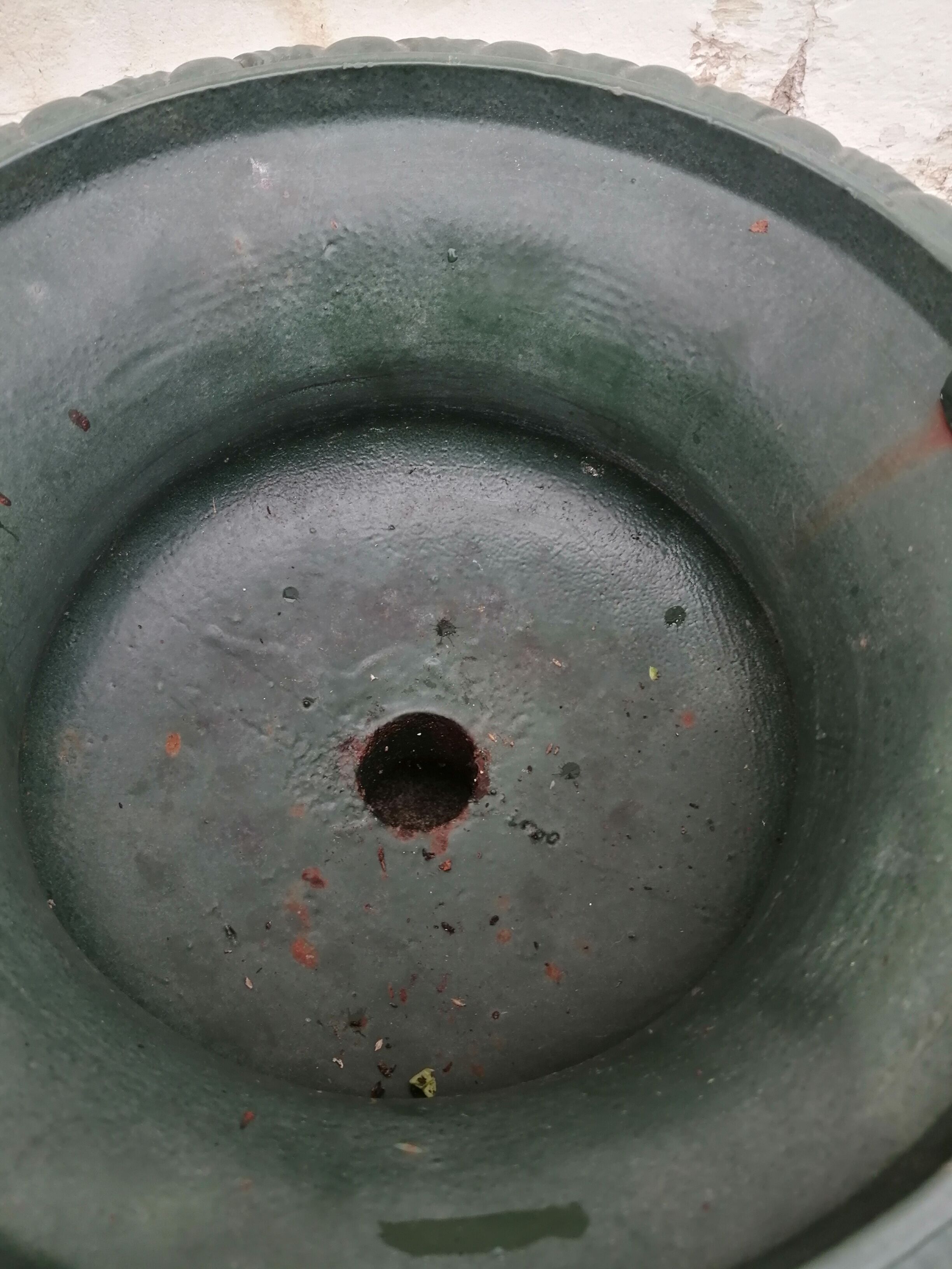 Cast iron medicis vases