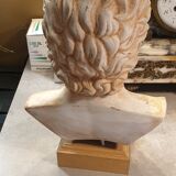 Mythological bust patinated plaster