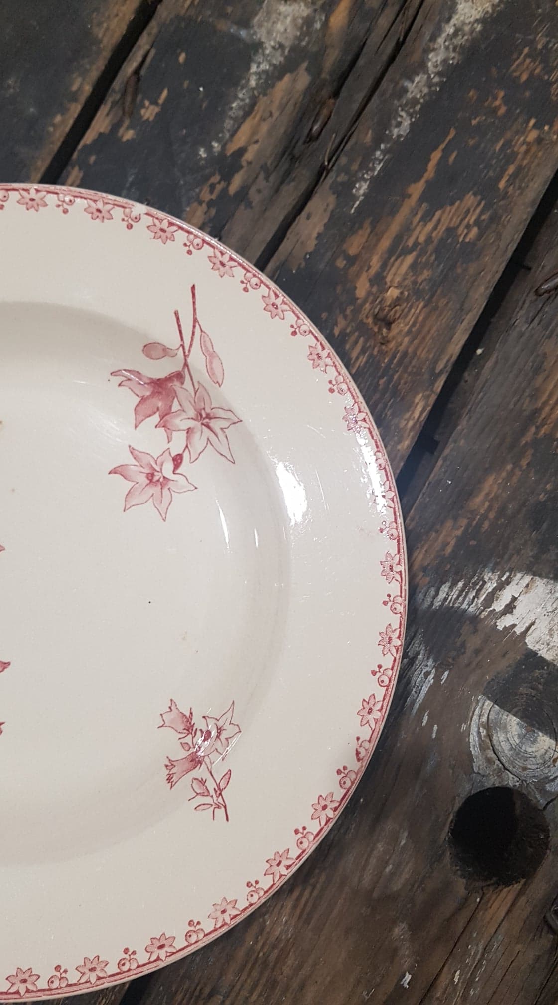 Plate Sarreguemines model Favorite