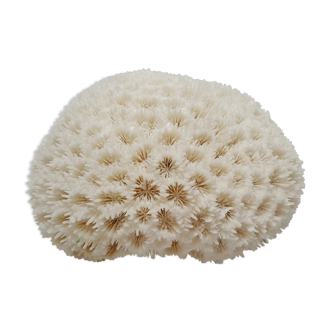 Vintage white coral ball