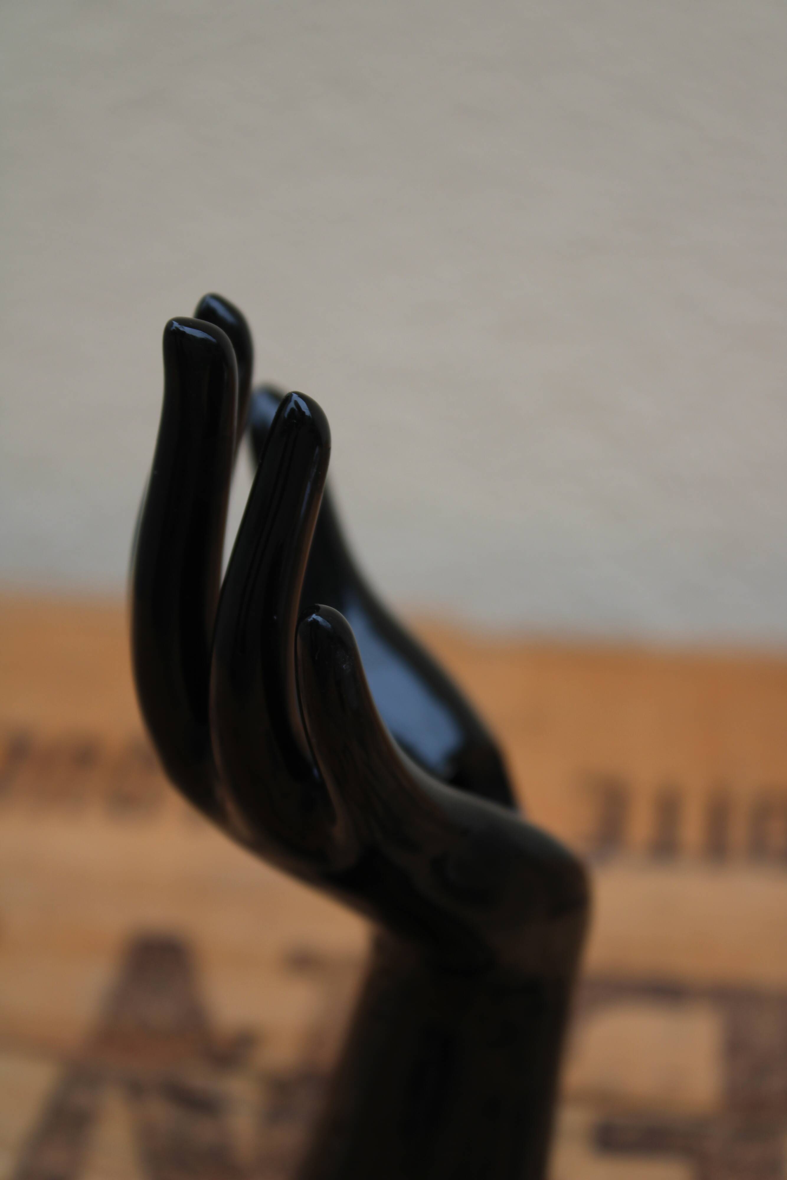 Black ceramic baguier hand