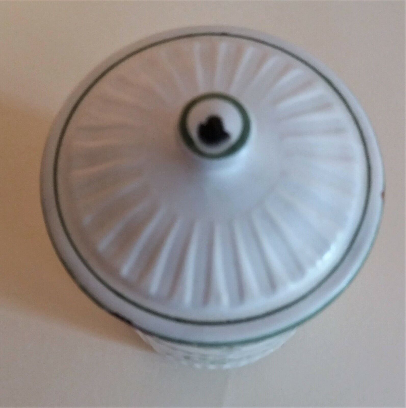 BB enameled sheet spice box pot with blueberry frieze chicory