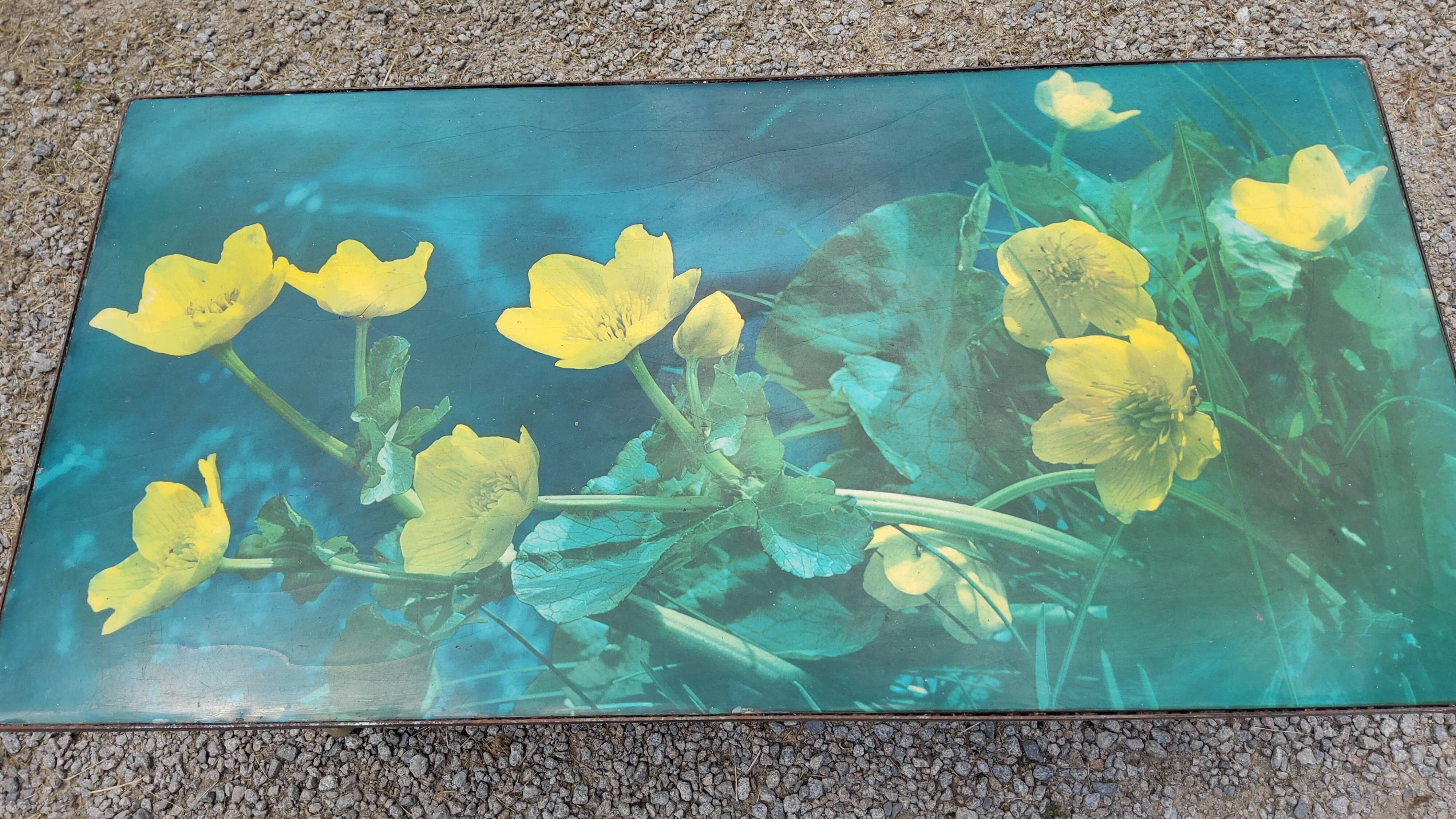 Coffee table of the 60s metal and formica