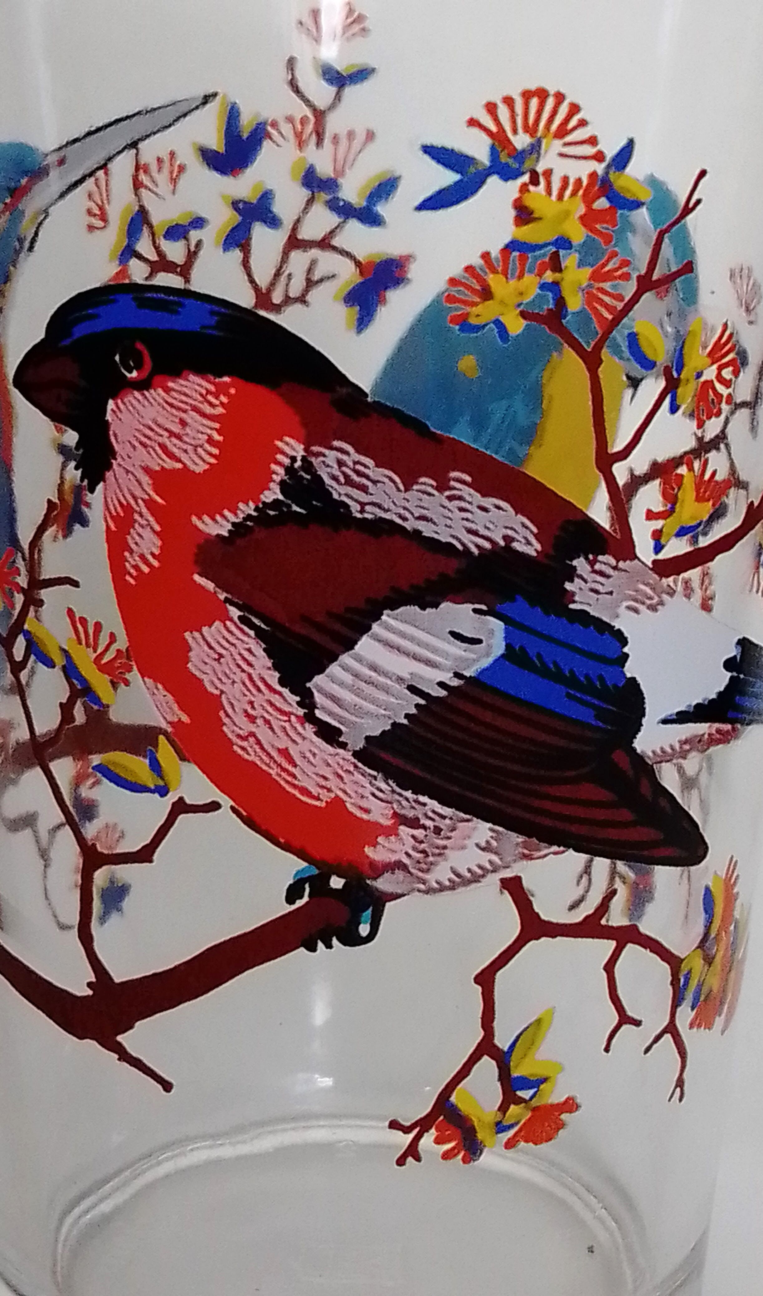 Set of 6 orangeade glasses seriographed "Birds"