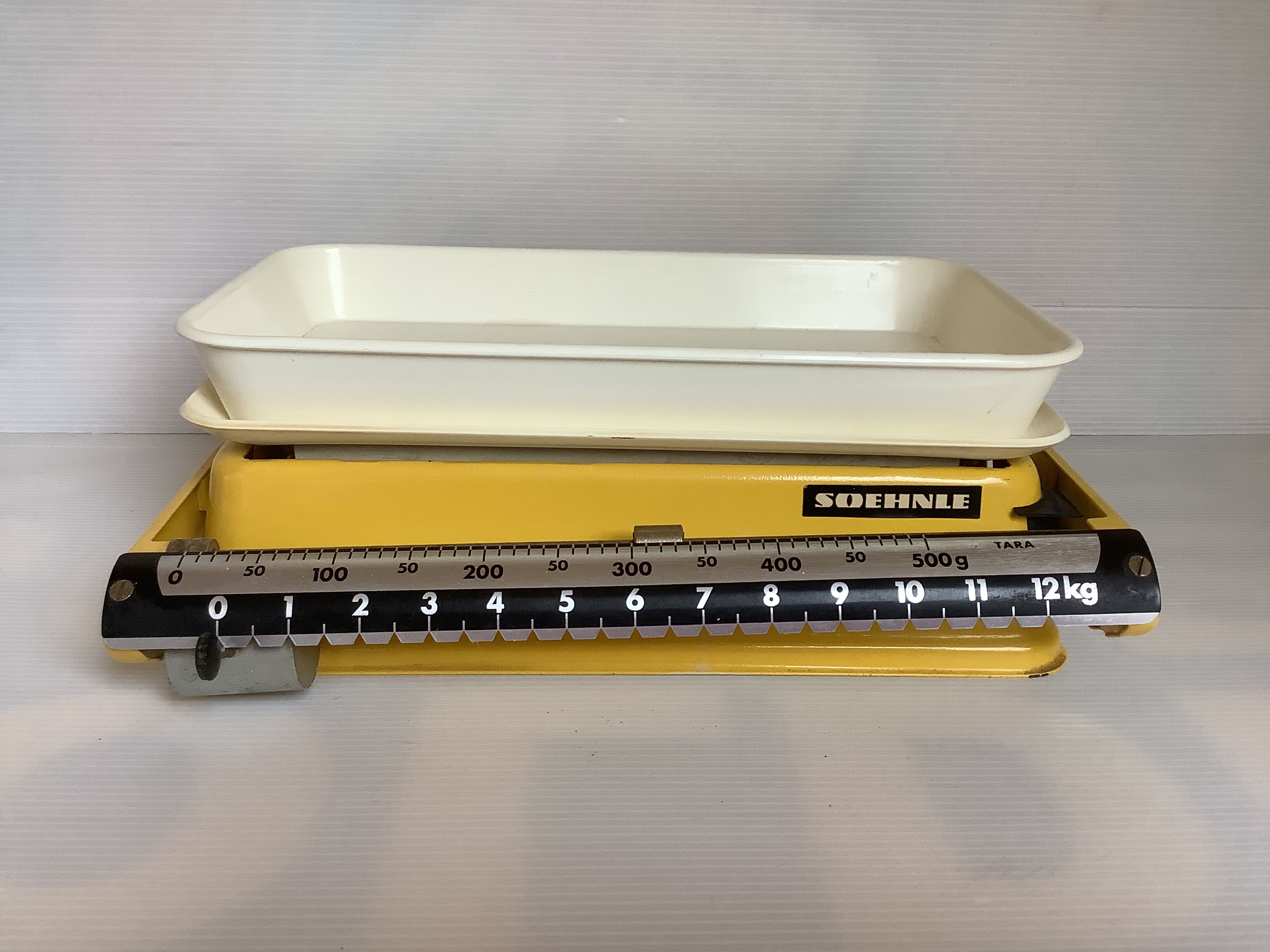 Old yellow scale