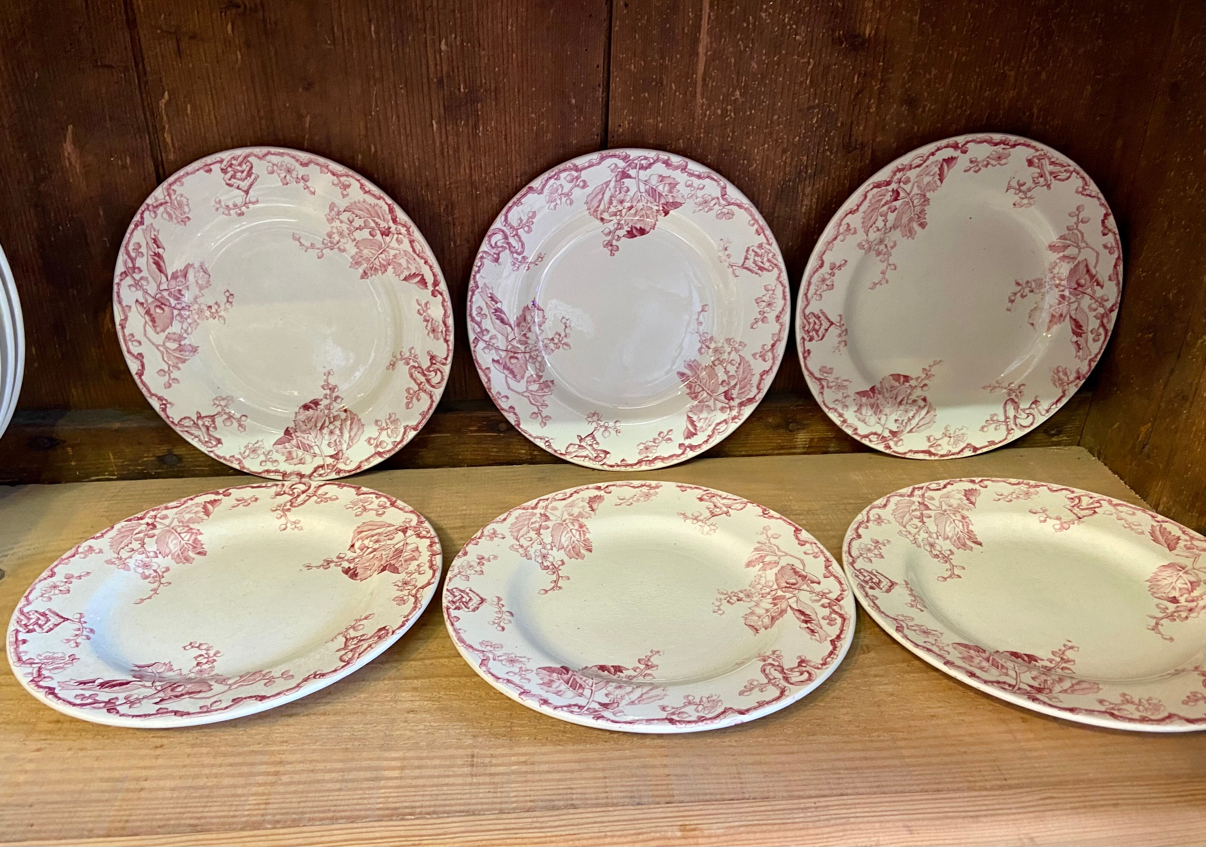 10 plates Terre de Fer Rouge