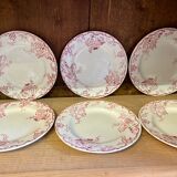 10 plates Terre de Fer Rouge