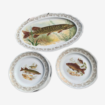 Set of plates and fish dish