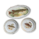 Set of plates and fish dish