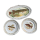 Set of plates and fish dish