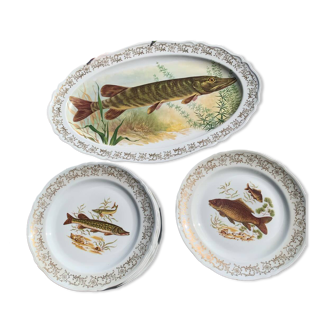 Set of plates and fish dish