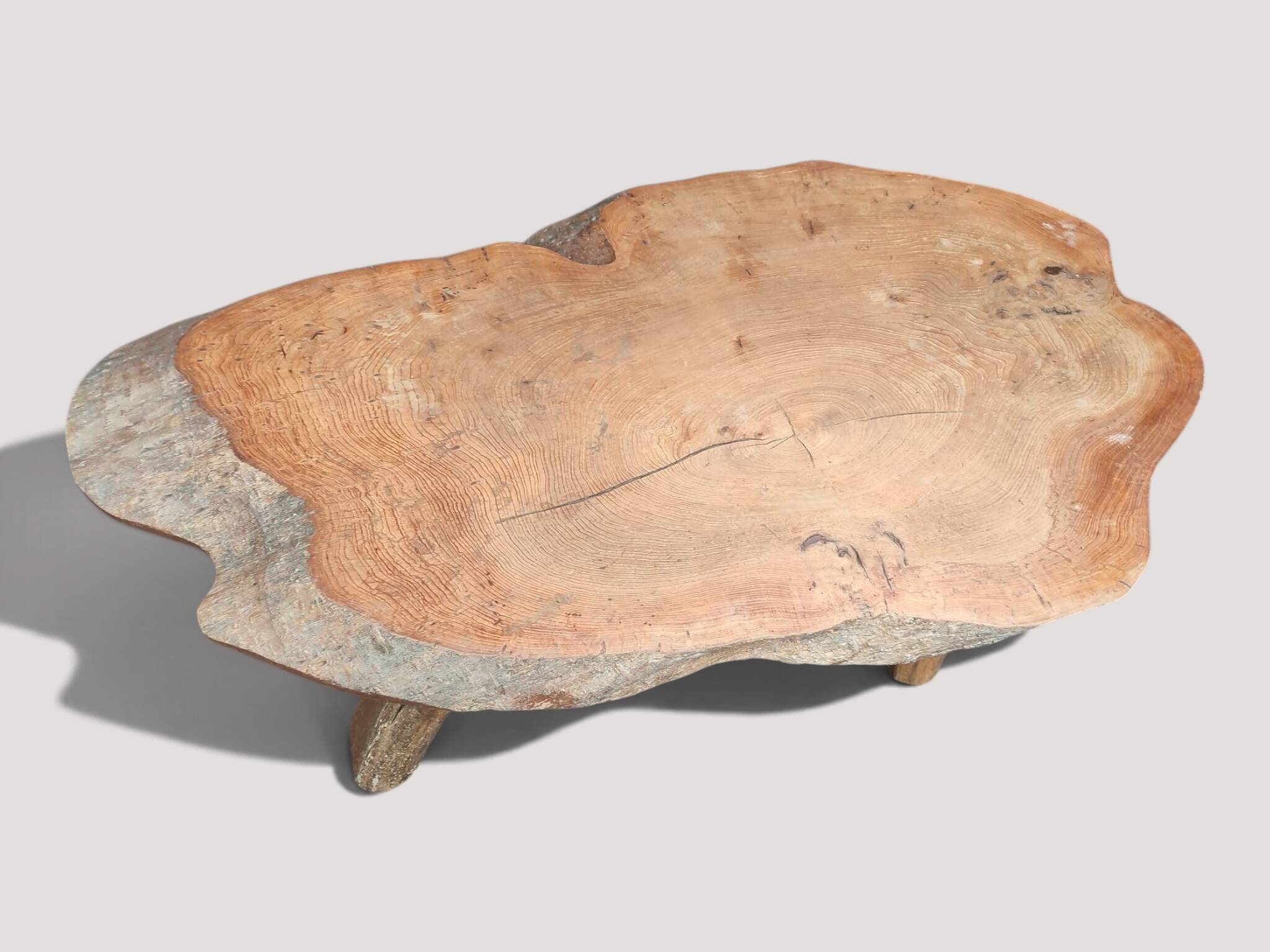 Solid wood coffee table - Section/cross-section of a century-old tree.