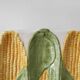 Corn Appetizer Platter