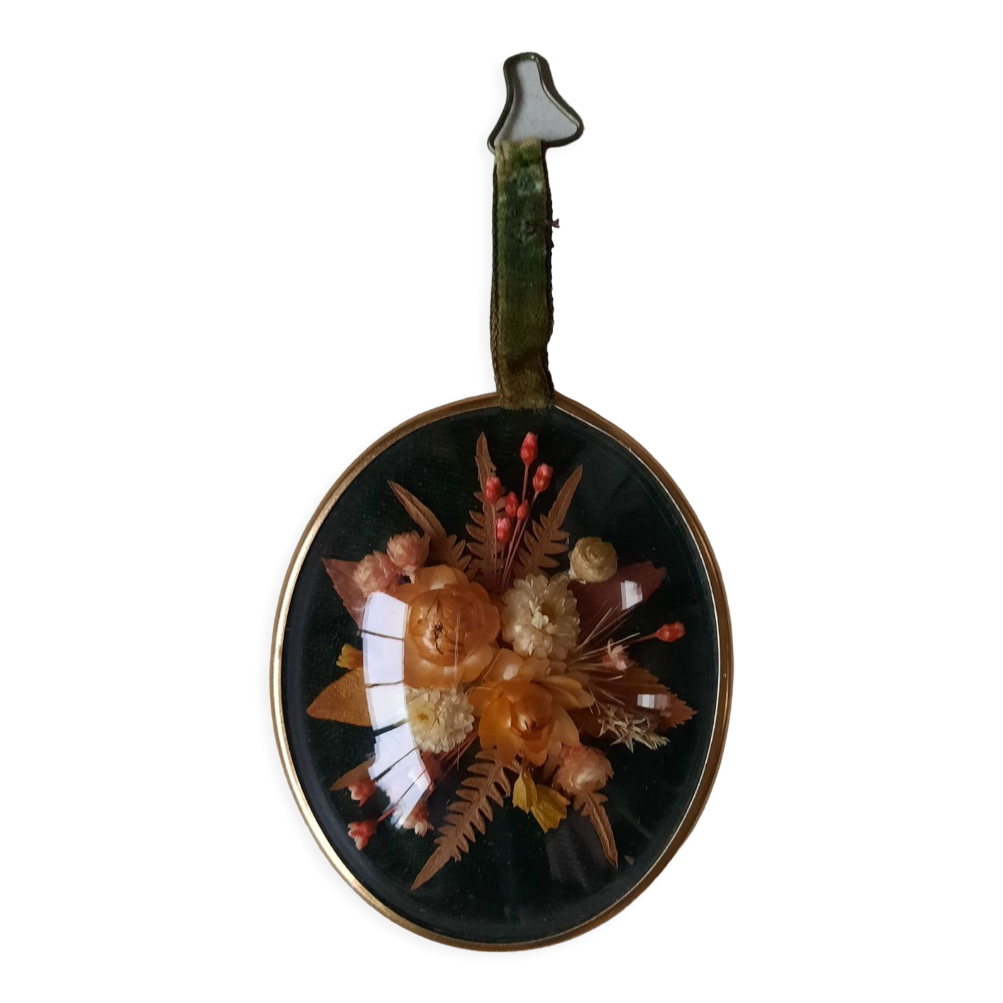 Cadre verre bombé fleurs sechées ancien