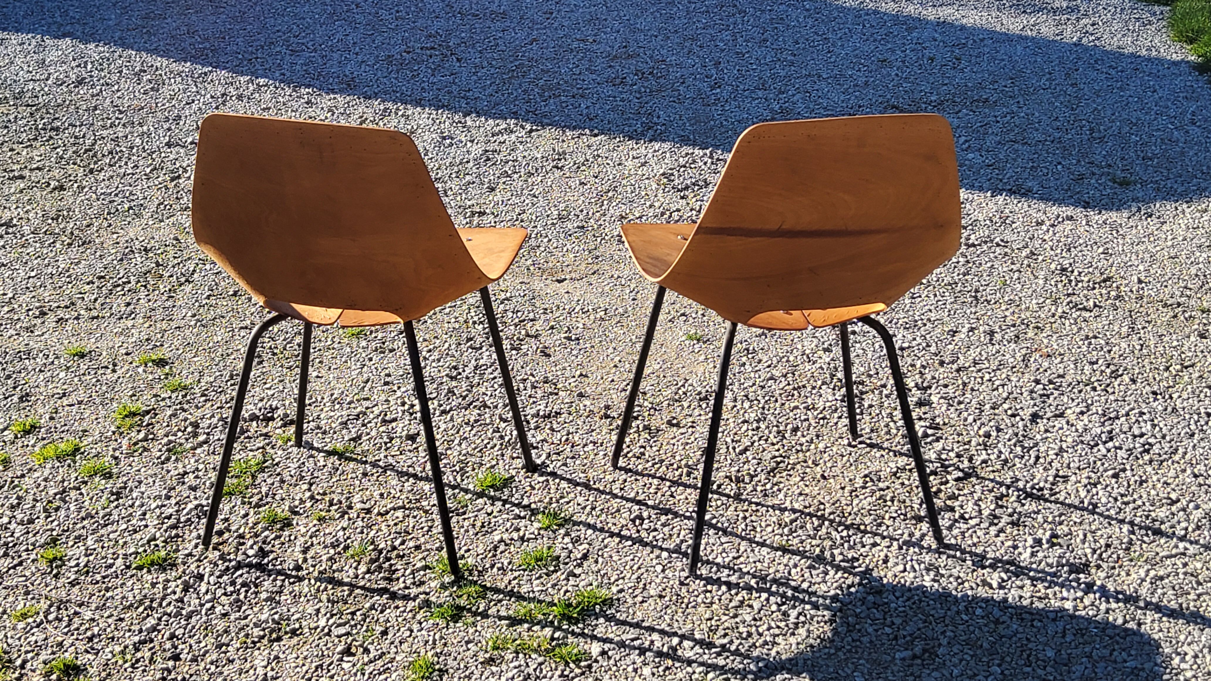 Pair of tonneau chairs by Pierre Guariche plywood base tubes 1954