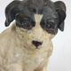 Chien en terre cuite peinte
