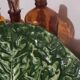 Grand plat Feuille de Chou Barbotine