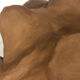 School bust of a female body in red clay terracotta