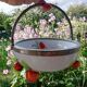 Strawberry slurry cup
