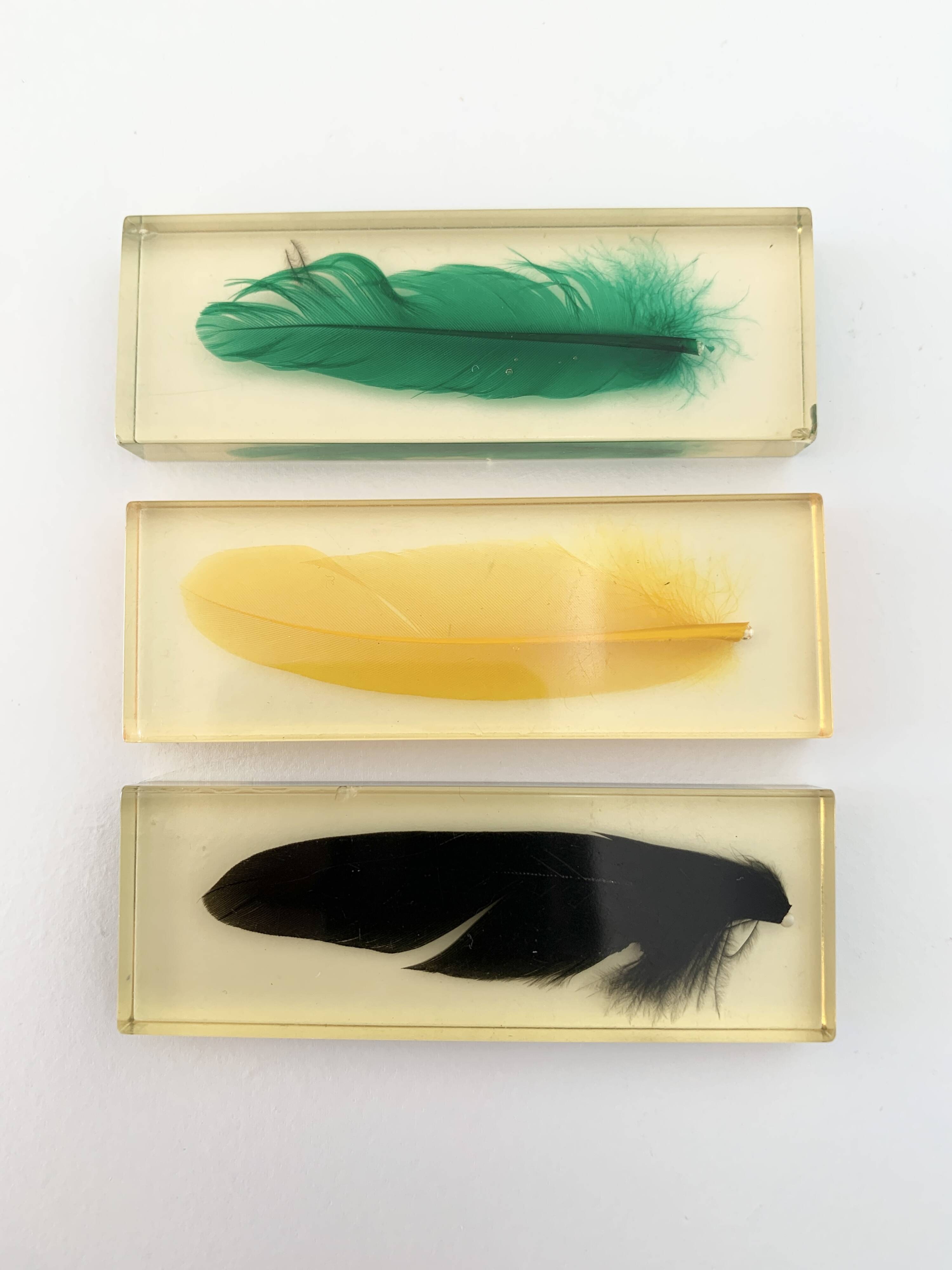Six feather-shaped knife rests in resin inclusion.