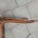 Old Louis XV style caned piano bench