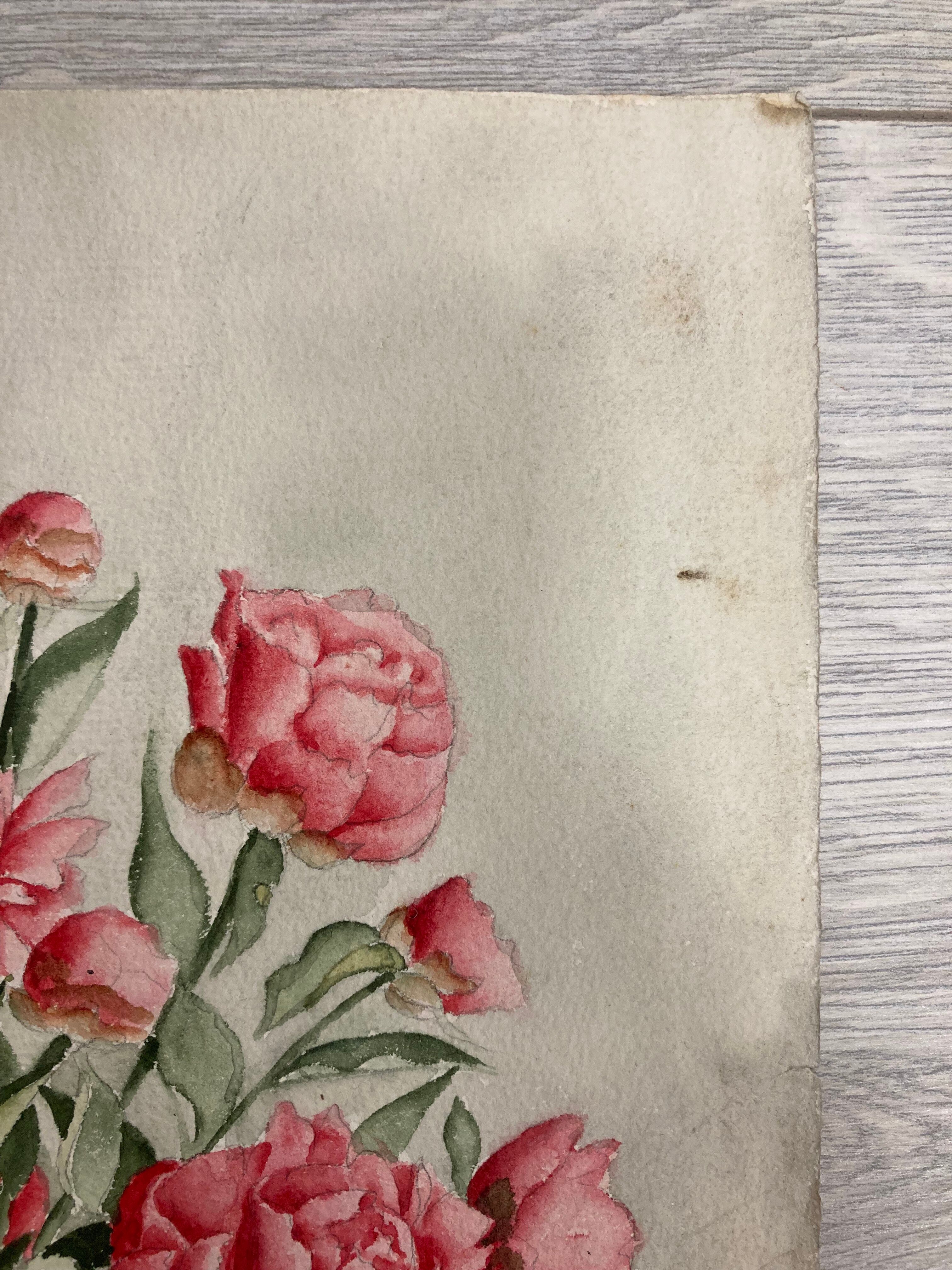 Aquarelle pivoines vintage