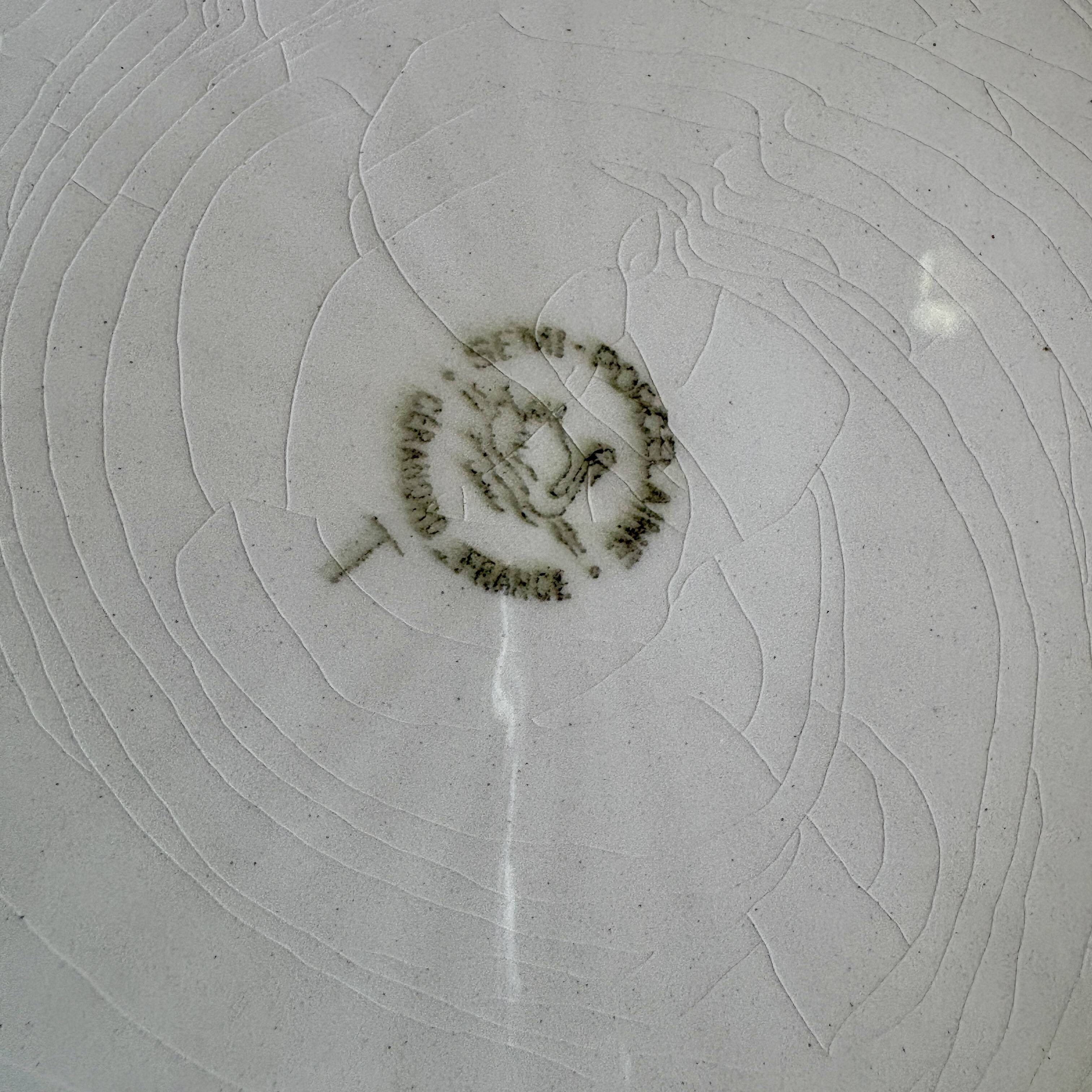 Set of 10 vintage flat plates in semi-porcelain Céranord.