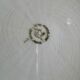 Set of 10 vintage flat plates in semi-porcelain Céranord.
