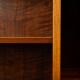 Danish Design Rosewood Bookcase with LP Rack, 1960s