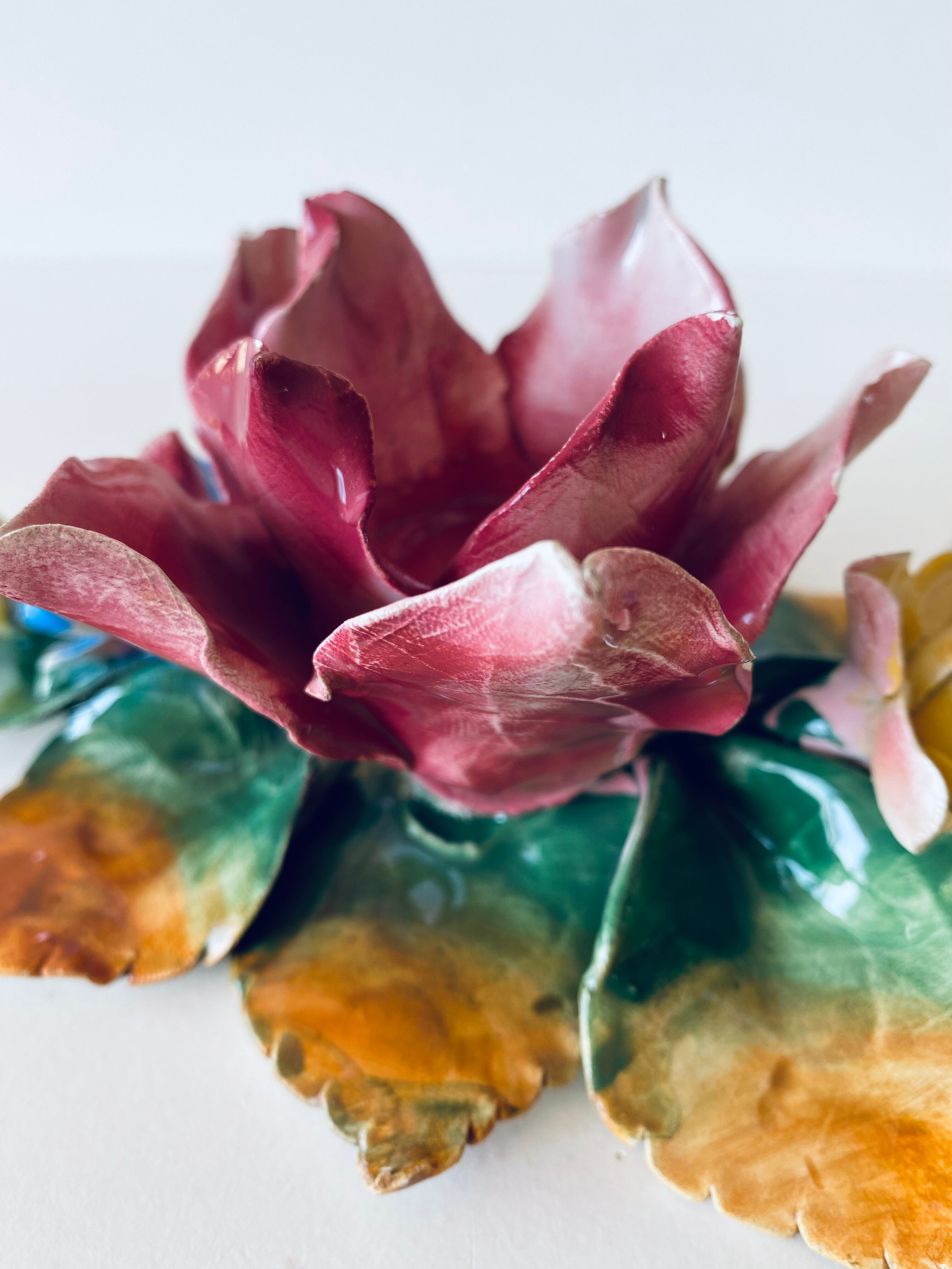 Candlestick flowers in bubble