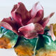 Candlestick flowers in bubble