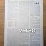 Imprimée en 1905, les papillons. Affiche Entomologique ancienne.