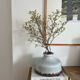 Raku style vase