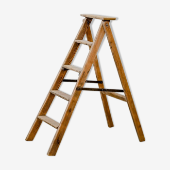 Stepladder wood painter