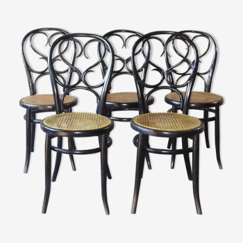 Set de 5 chaises art nouveau fischel 1875