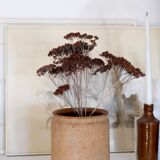Old terracotta pot Provence XIX th
