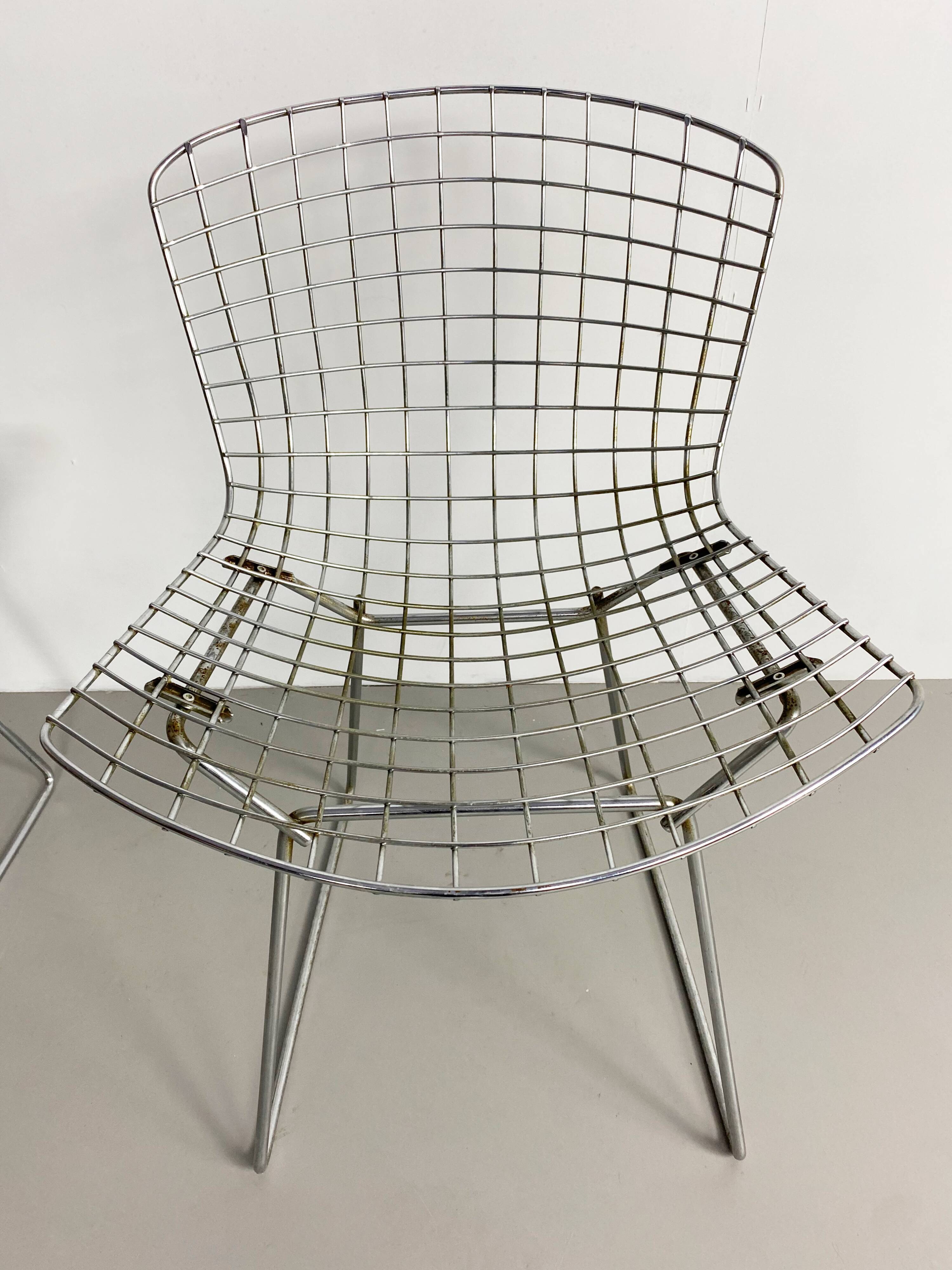 Paire de Side chairs d'Harry Bertoia édition Knoll