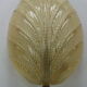Set of 2 swedish leaf shaped wall sconces Fritz Kurz  for Orrefors, 1960s
