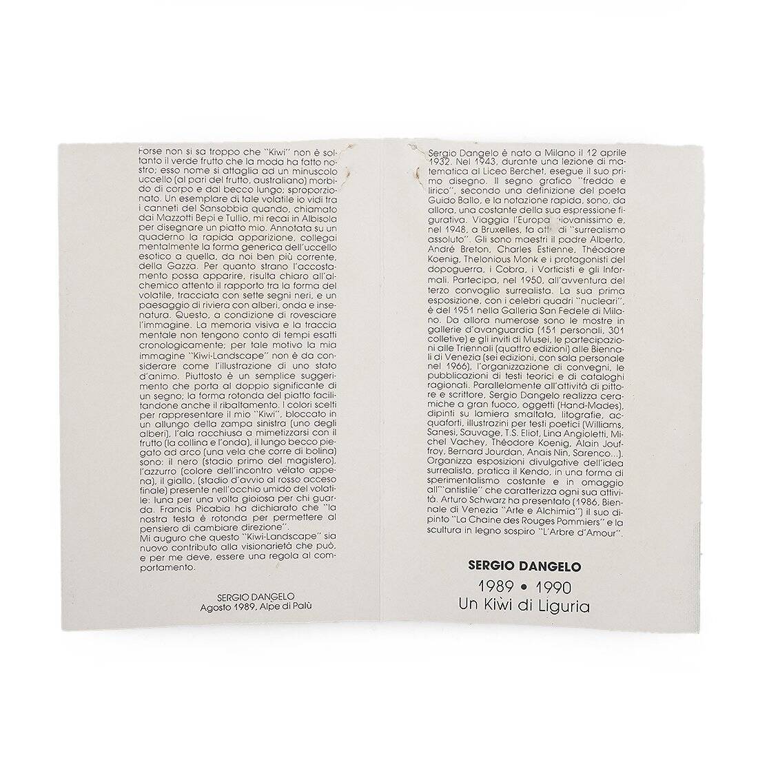 Kiwi Landscape Plate in Ceramic by Sergio Dangelo for Mazzotti Albisola, 1980s