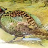 Pheasant table