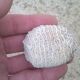 Ensemble de 7 corail blanc vintage