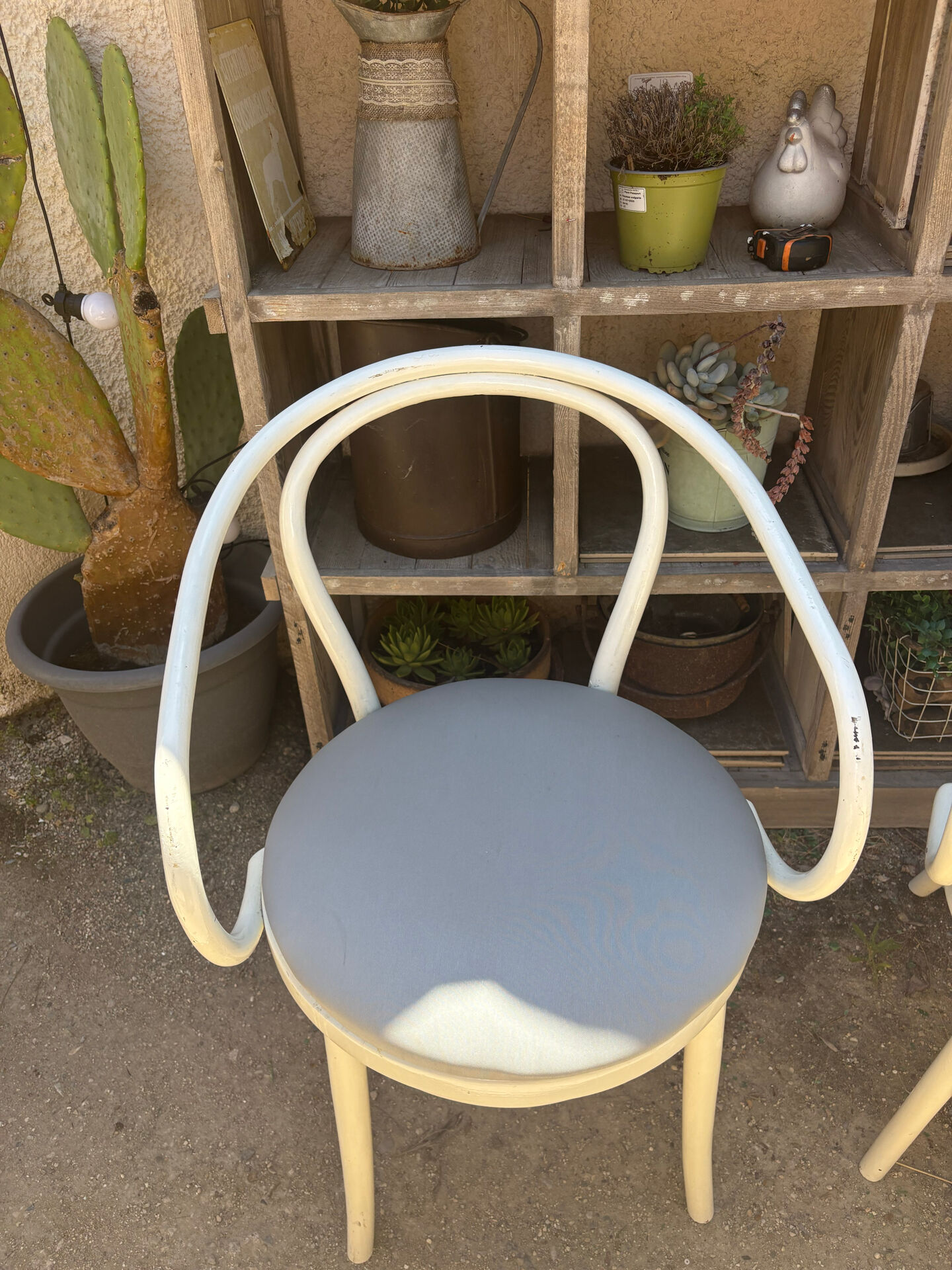 Thonet chairs "the curvaceous one"