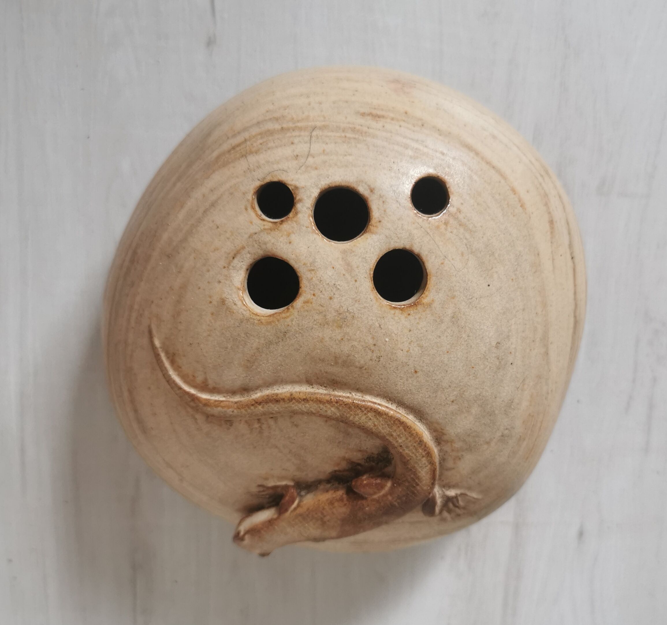 Pique flowers sandstone lizard