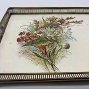 Service Plate WMF Jugendstil Art Nouveau Silver-Plated Galalithe Around 1905