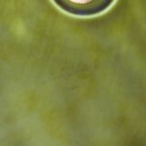 Sarreguemine brand cheese board no. 6143 in the shape of a pear