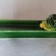 6 slurry vegetable knife holders
