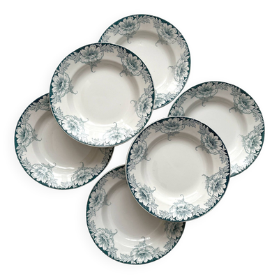 6 assiettes creuses en terre de fer Suzanne, Saint Amand et Hamage
